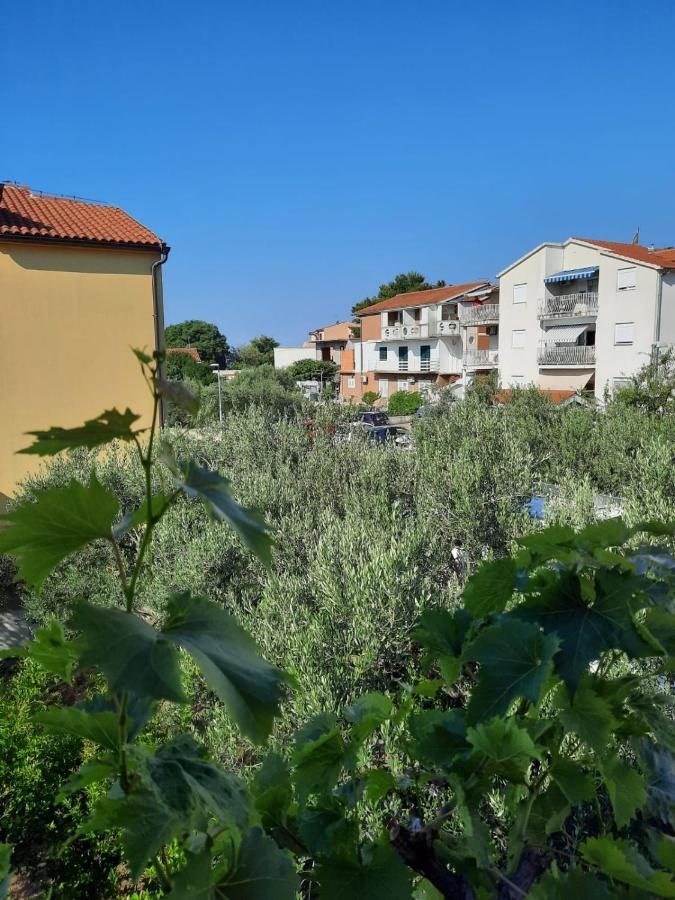 Apartmani Gracela 沃迪切 外观 照片