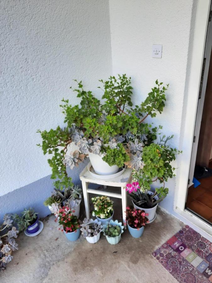 Apartmani Gracela 沃迪切 外观 照片